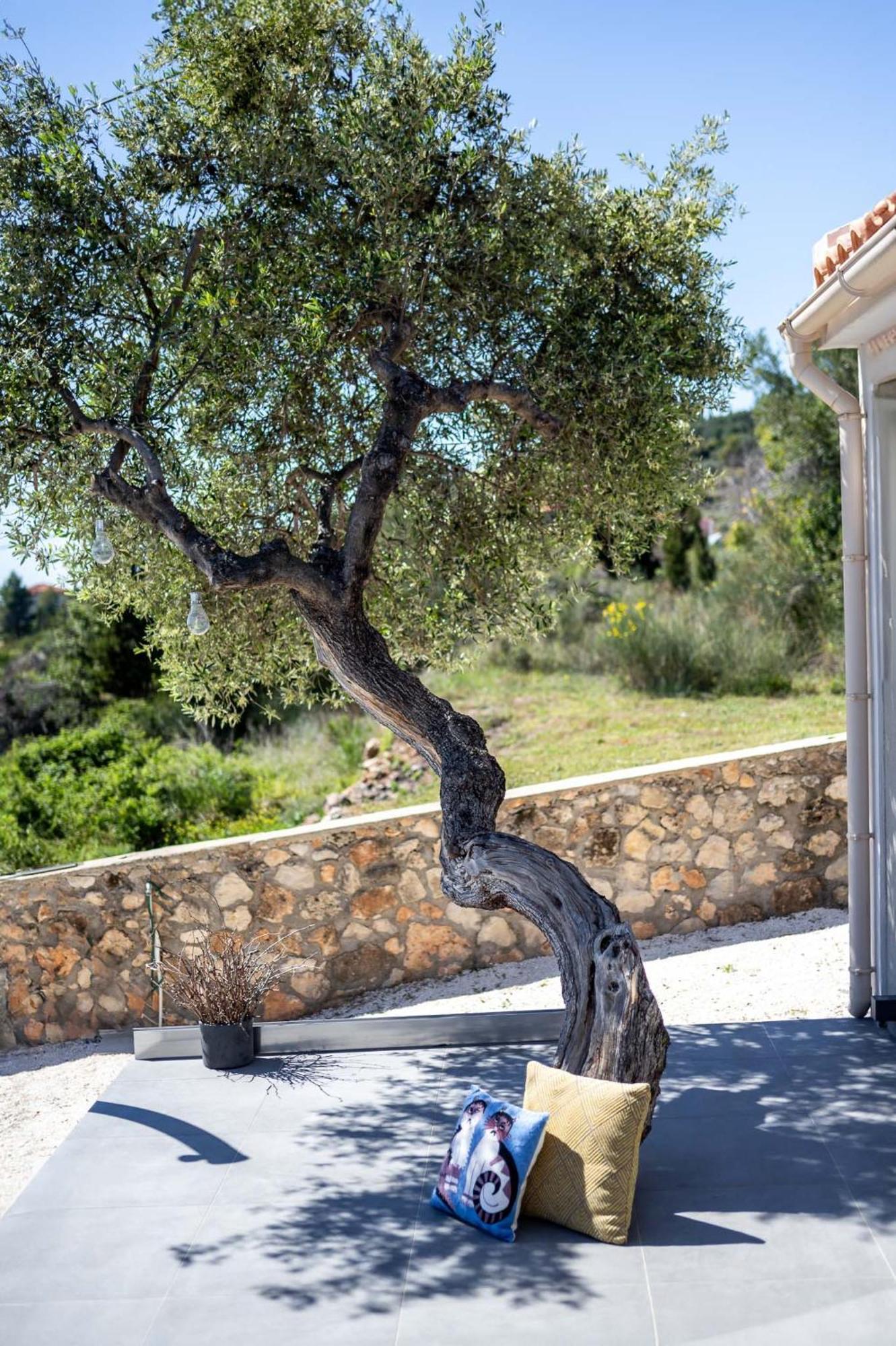 Tree Of Life Villa Valerianos Luaran gambar
